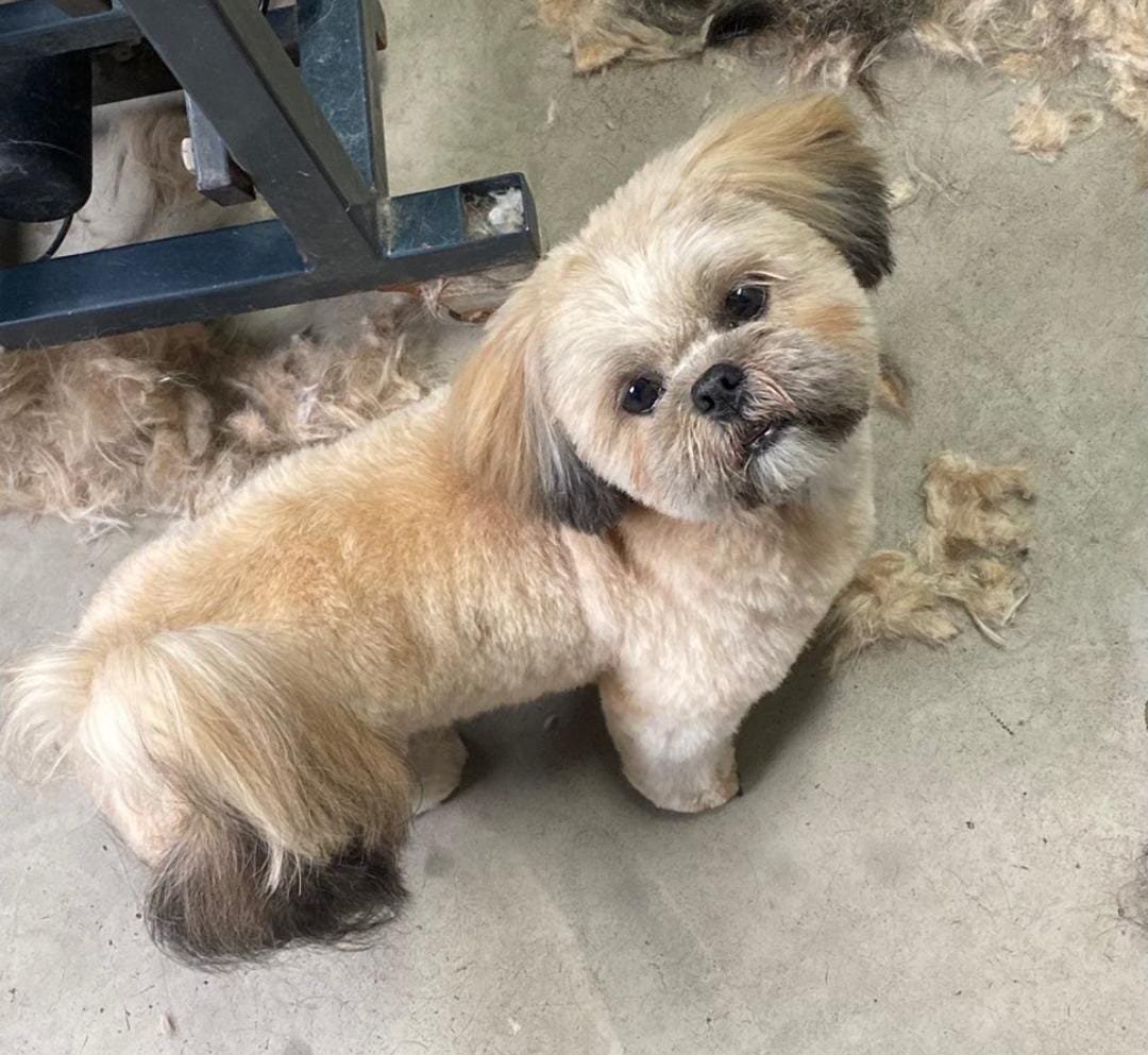 WhatsApp Image 2024-03-13 at 11.11.34_fe5dea59