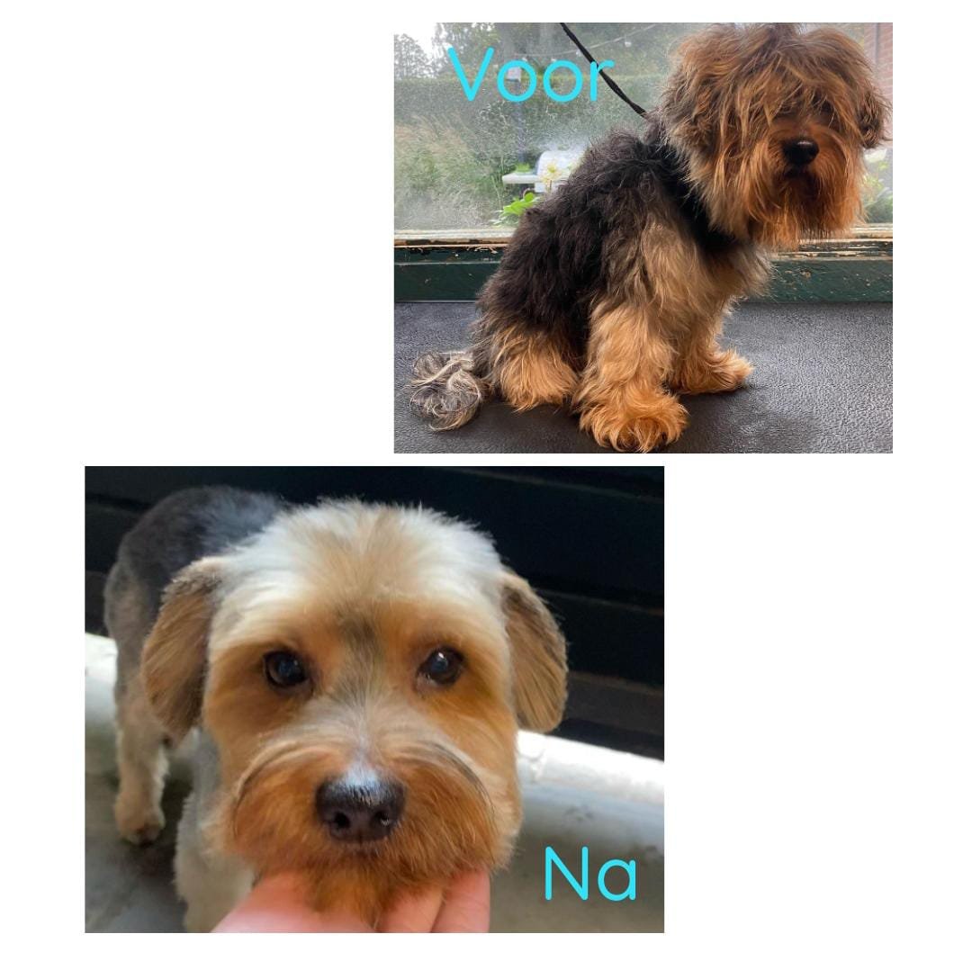 WhatsApp Image 2024-03-13 at 11.11.44_5ddbc320